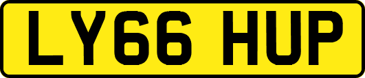 LY66HUP