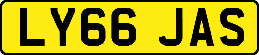 LY66JAS