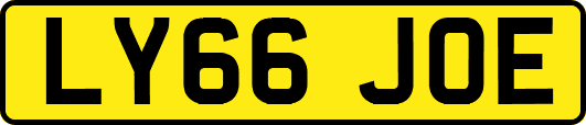 LY66JOE