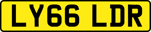 LY66LDR