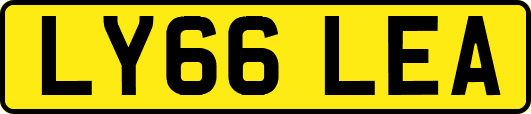 LY66LEA