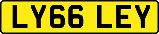 LY66LEY