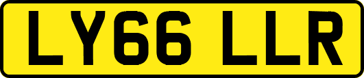 LY66LLR