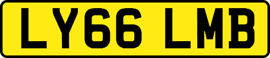 LY66LMB
