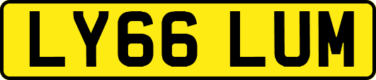 LY66LUM