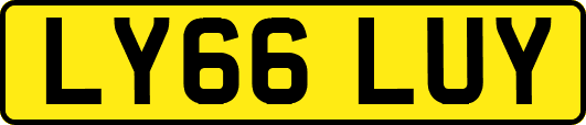LY66LUY