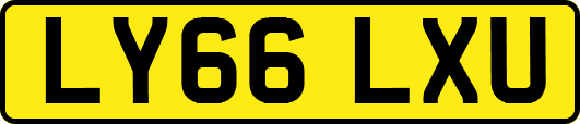 LY66LXU