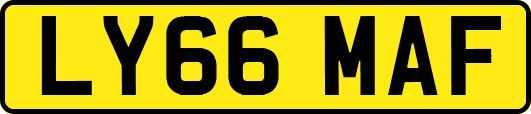 LY66MAF