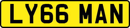 LY66MAN