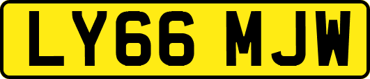 LY66MJW