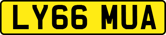 LY66MUA