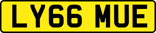 LY66MUE