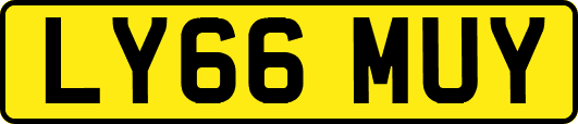 LY66MUY
