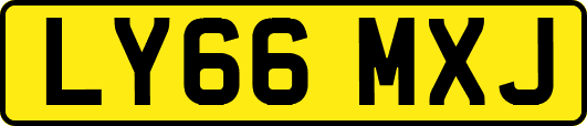 LY66MXJ