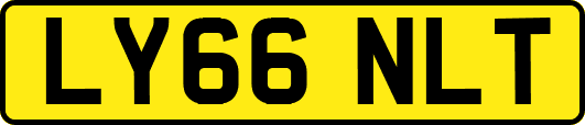 LY66NLT