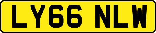 LY66NLW