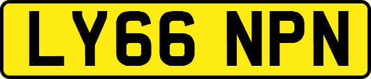 LY66NPN