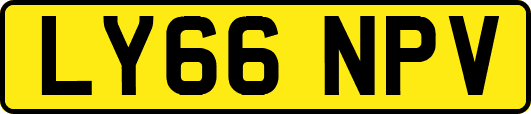 LY66NPV