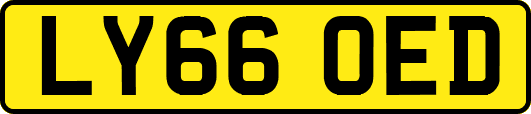 LY66OED