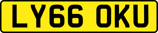 LY66OKU
