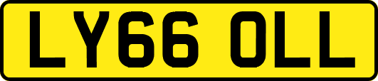 LY66OLL