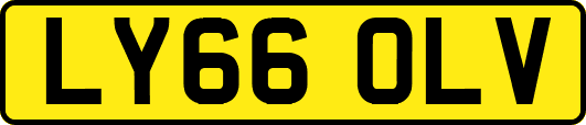 LY66OLV
