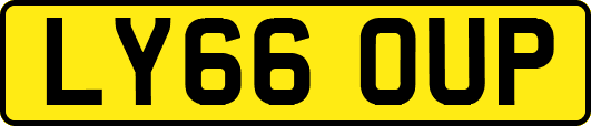 LY66OUP