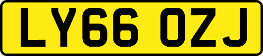 LY66OZJ