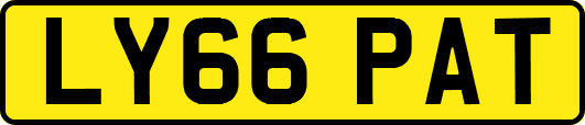 LY66PAT