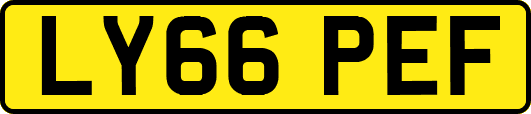 LY66PEF