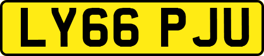 LY66PJU