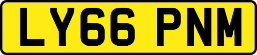 LY66PNM