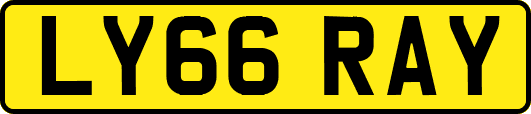 LY66RAY