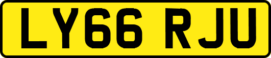 LY66RJU