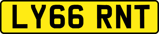 LY66RNT