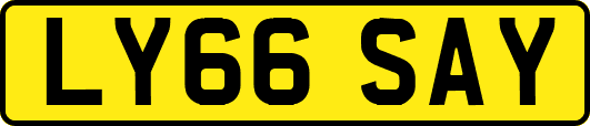 LY66SAY