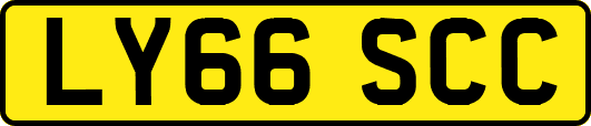 LY66SCC