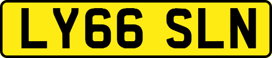 LY66SLN