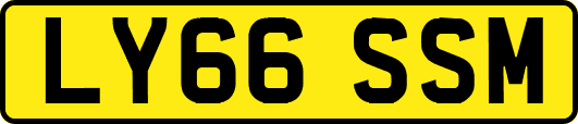 LY66SSM