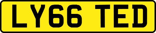 LY66TED