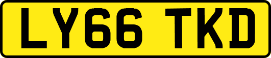 LY66TKD