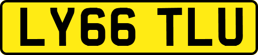 LY66TLU