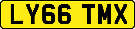 LY66TMX