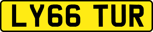 LY66TUR