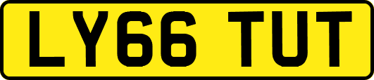 LY66TUT