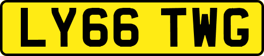 LY66TWG