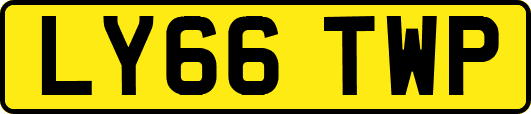LY66TWP