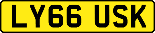 LY66USK