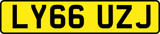 LY66UZJ