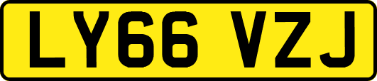 LY66VZJ